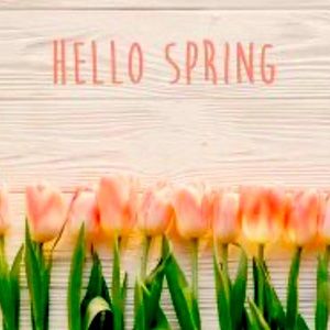 Spring is here ! New items have arrived